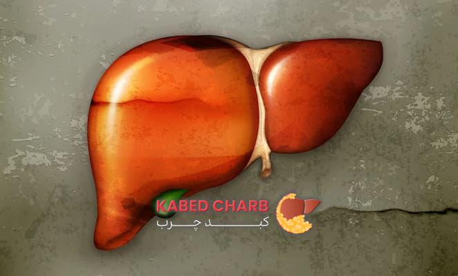 Strengthening the liver